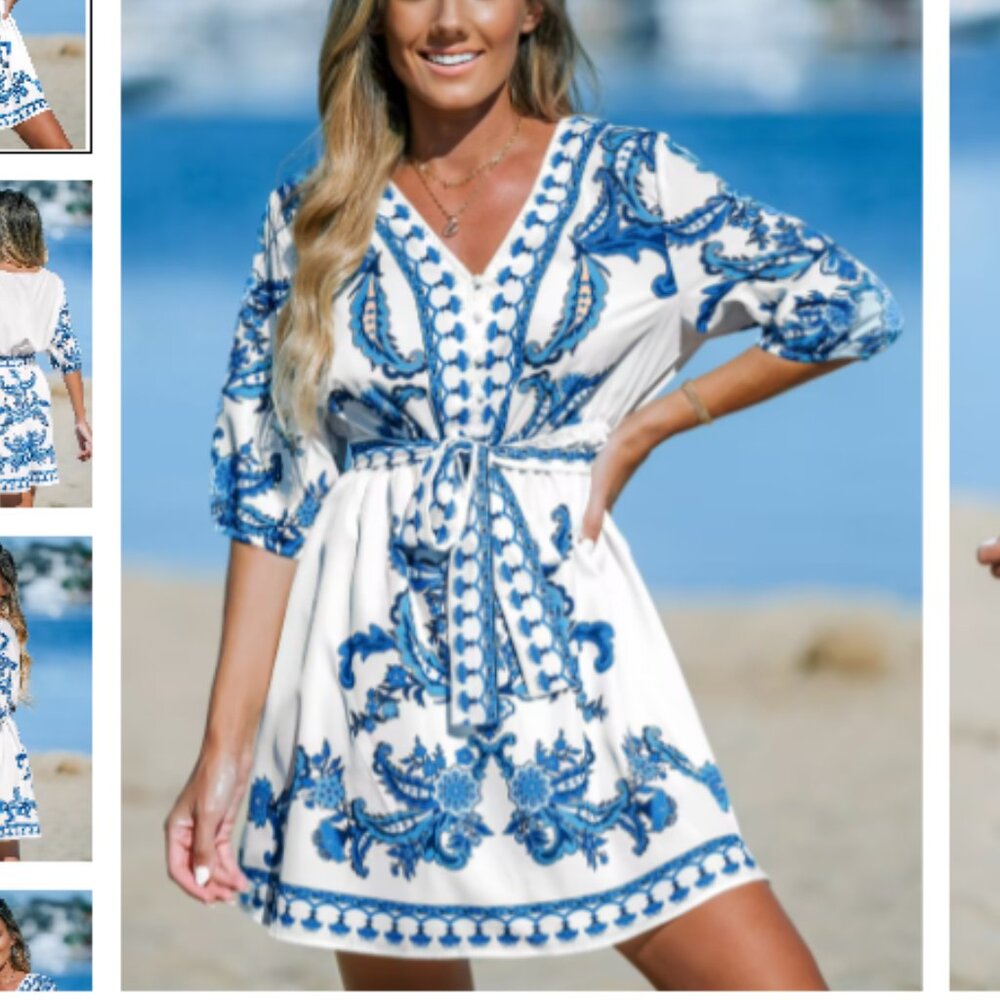 Elegant Blue and White Embroidered Dress